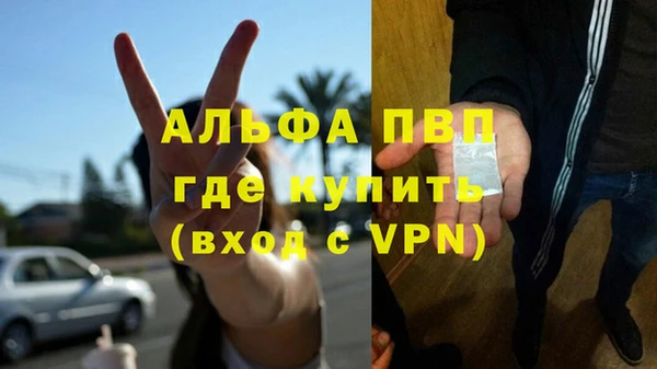 таблы Бородино