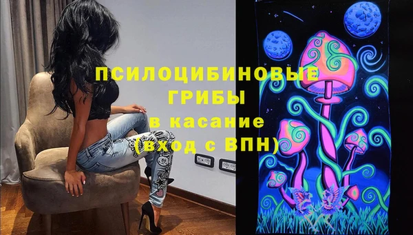 мяу мяу мука Верея