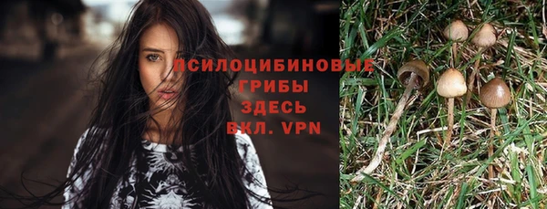 mdpv Бронницы